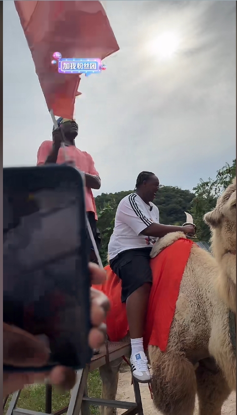 九游体育-华少长城直播秀身材 持扇半裸与兄弟舞旗驾骆驼引关注